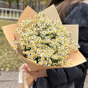 Букет из 21 ромашки