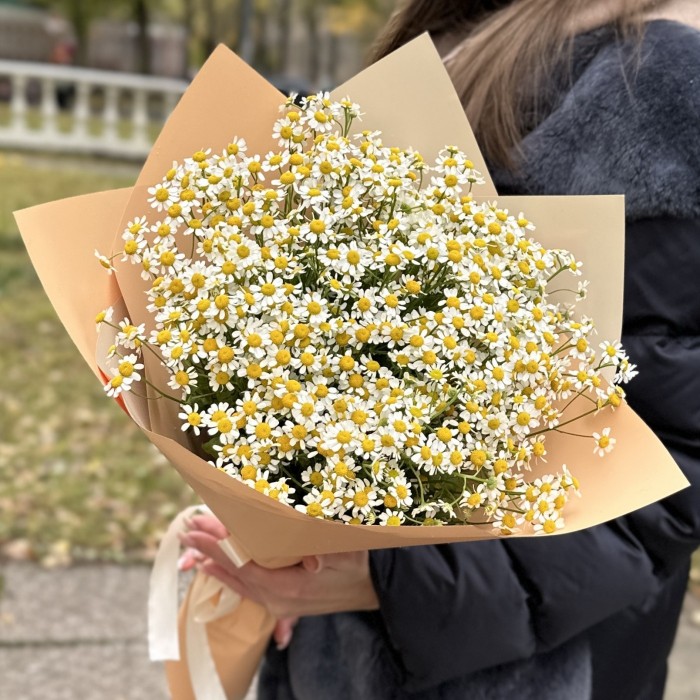 Букет из 21 ромашки
