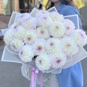 Букет из 25 бело-сиреневых георгин Букет из 25 бело-сиреневых георгин