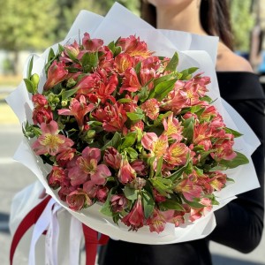 Букет из 25 красных альстромерий Букет из 25 красных альстромерий