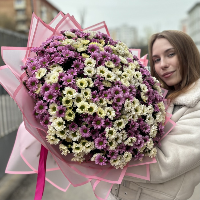 Букет из 51 белой и розовой хризантемы Сантини