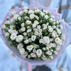 25 кустовых кремовых роз Рослин 40см 25 кустовых кремовых роз Рослин 40см
