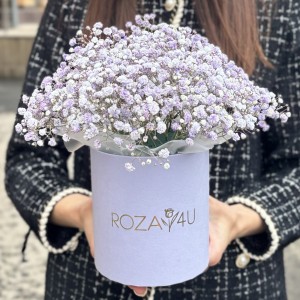 Лавандовая гипсофила в коробке Лавандовая гипсофила в коробке