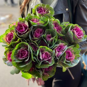 Букет из брассики Светлана Букет из брассики Светлана