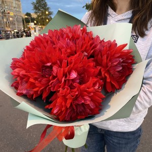 Красные георгины Красные георгины