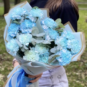 15 гвоздик Блю Молли с эвкалиптом 15 гвоздик Блю Молли с эвкалиптом