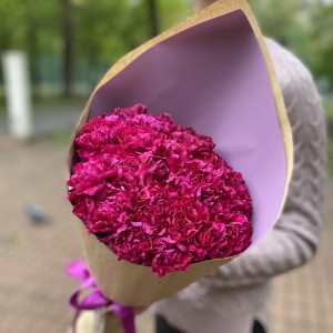 Букет фиолетовых гвоздик Букет фиолетовых гвоздик