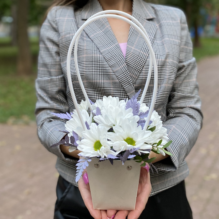 Белая кустовая хризантема Бакарди в сумочке