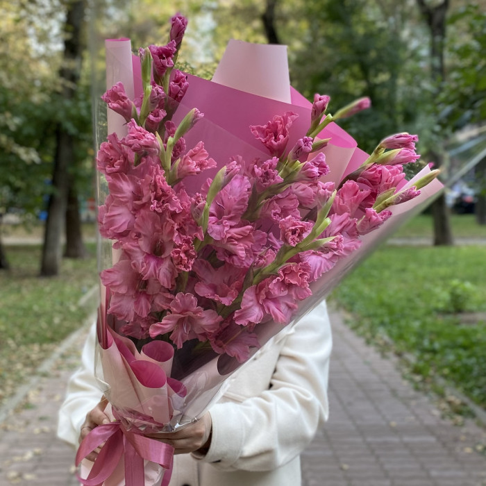 9 розовых гладиолусов