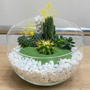 Флорариум с кактусами и суккулентами Флорариум с кактусами и суккулентами