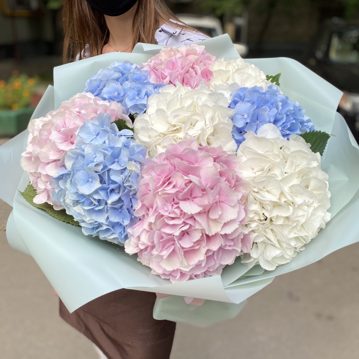 Монобукет из 9 гортензий Нежный