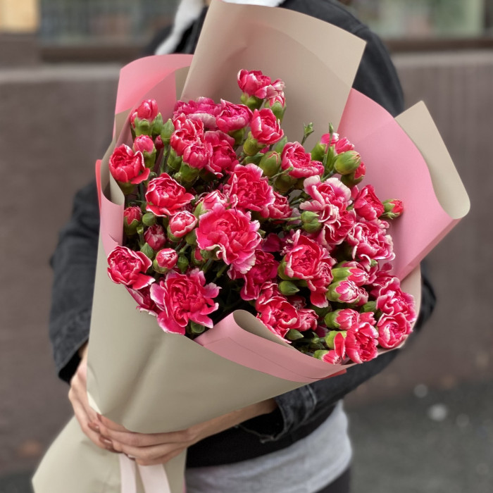Букет из 25 кустовых малиновых гвоздик