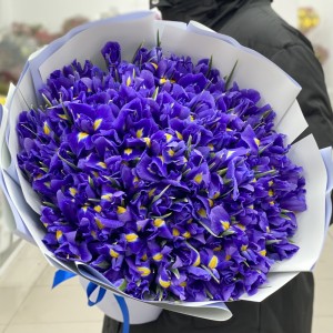 Букет из сиреневых ирисов Букет из сиреневых ирисов