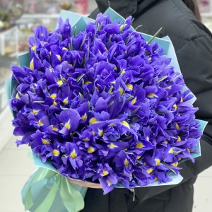 Букет из 75 ирисов Букет из 75 ирисов
