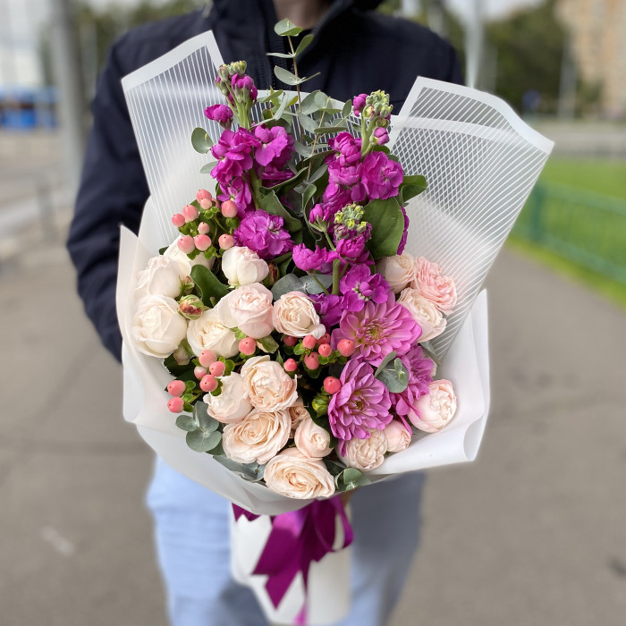 Андромеда