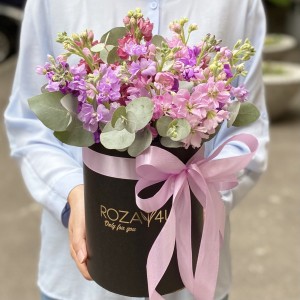 15 розовых и сиреневых маттиол в коробке 15 розовых и сиреневых маттиол в коробке