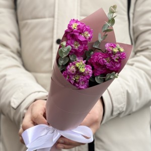 Корпоративный букет малиновых маттиол Корпоративный букет малиновых маттиол