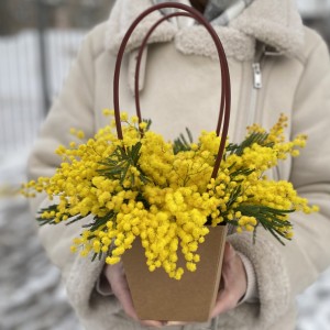 Композиция из мимозы в сумочке Композиция из мимозы в сумочке