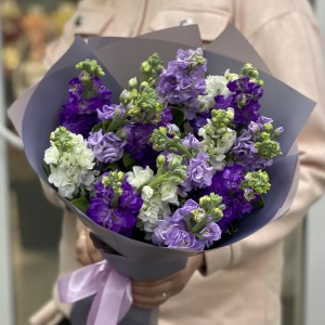 Микс фиолетовых маттиол Микс фиолетовых маттиол
