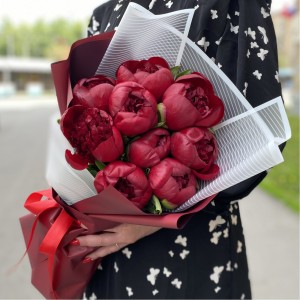 9 бордовых пионов Голландия