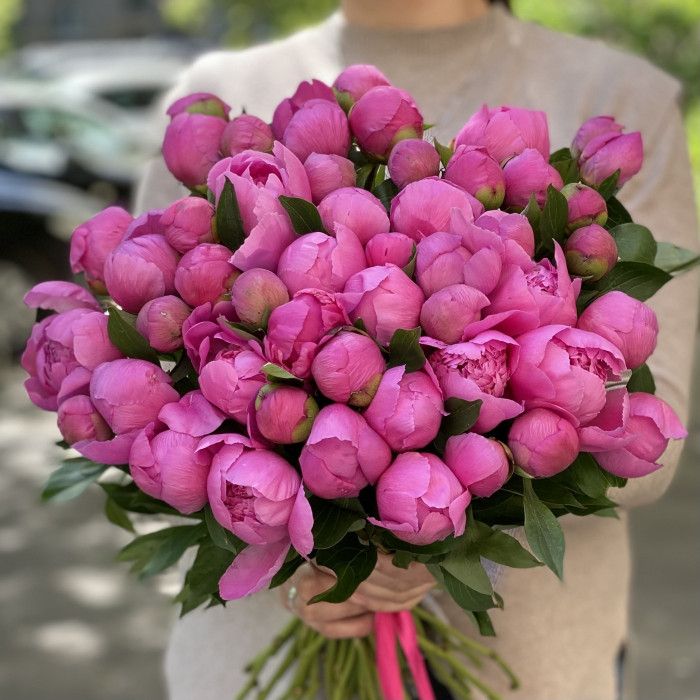 Яркие розовые пионы