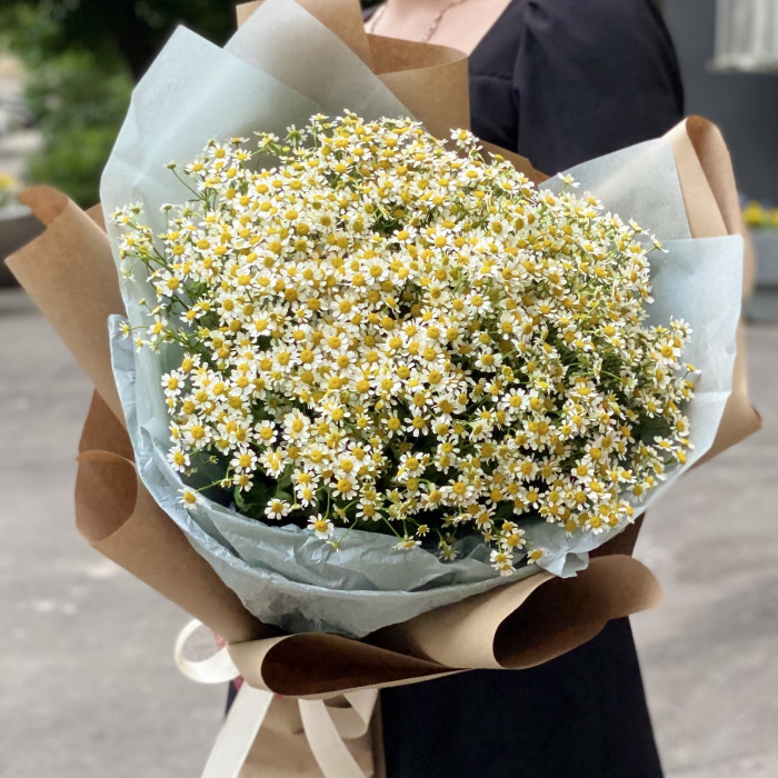 Букет из 25 ромашек