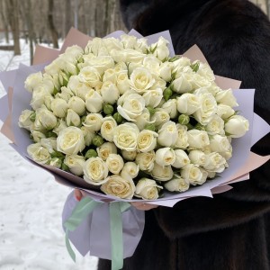 51 белая кустовая роза Сноу Бабл 40см 51 белая кустовая роза Сноу Бабл 40см
