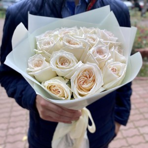Ароматные розы White Ohara Ароматные розы White Ohara
