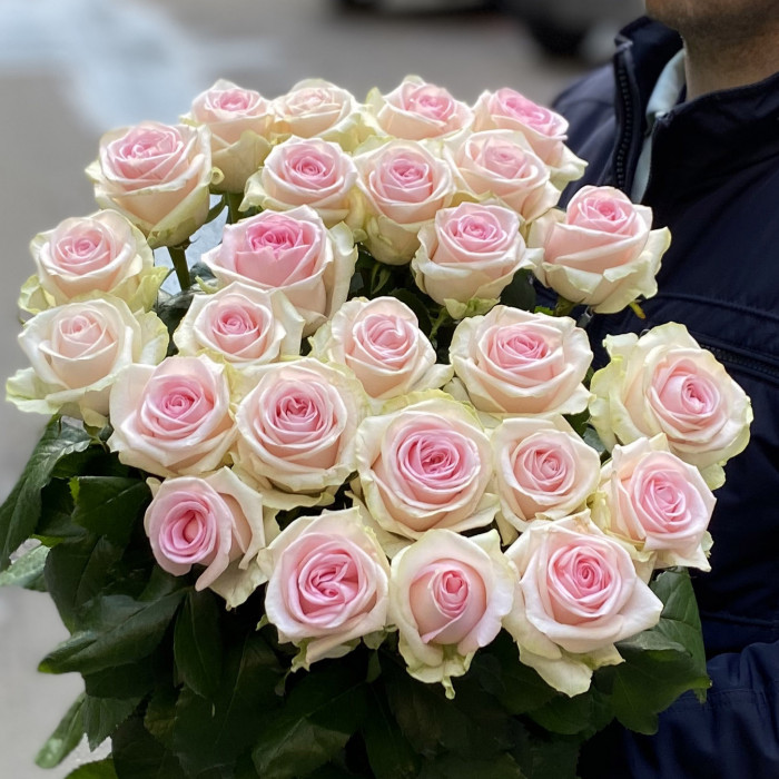 25 Роз Свит Ревайвал (Sweet Revival)