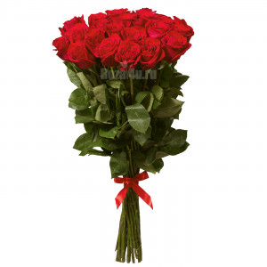 25 роз Exclusive 100 см