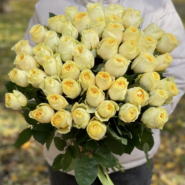 Роза Баттеркап 50 см