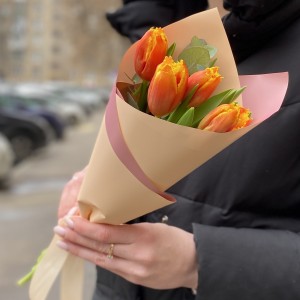 5 ярких тюльпанов 5 ярких тюльпанов