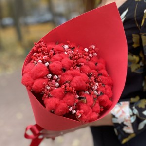 Букет из красного хлопка Букет из красного хлопка
