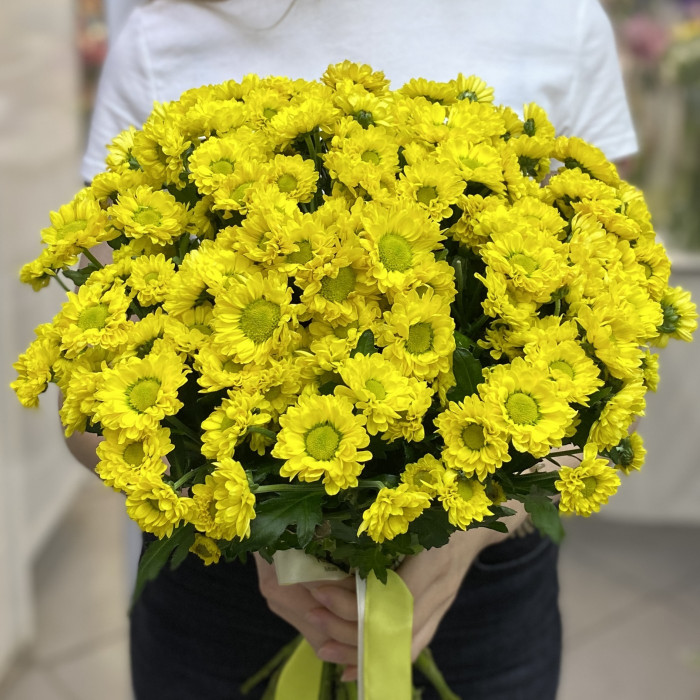 Хризантема Сантини желтая