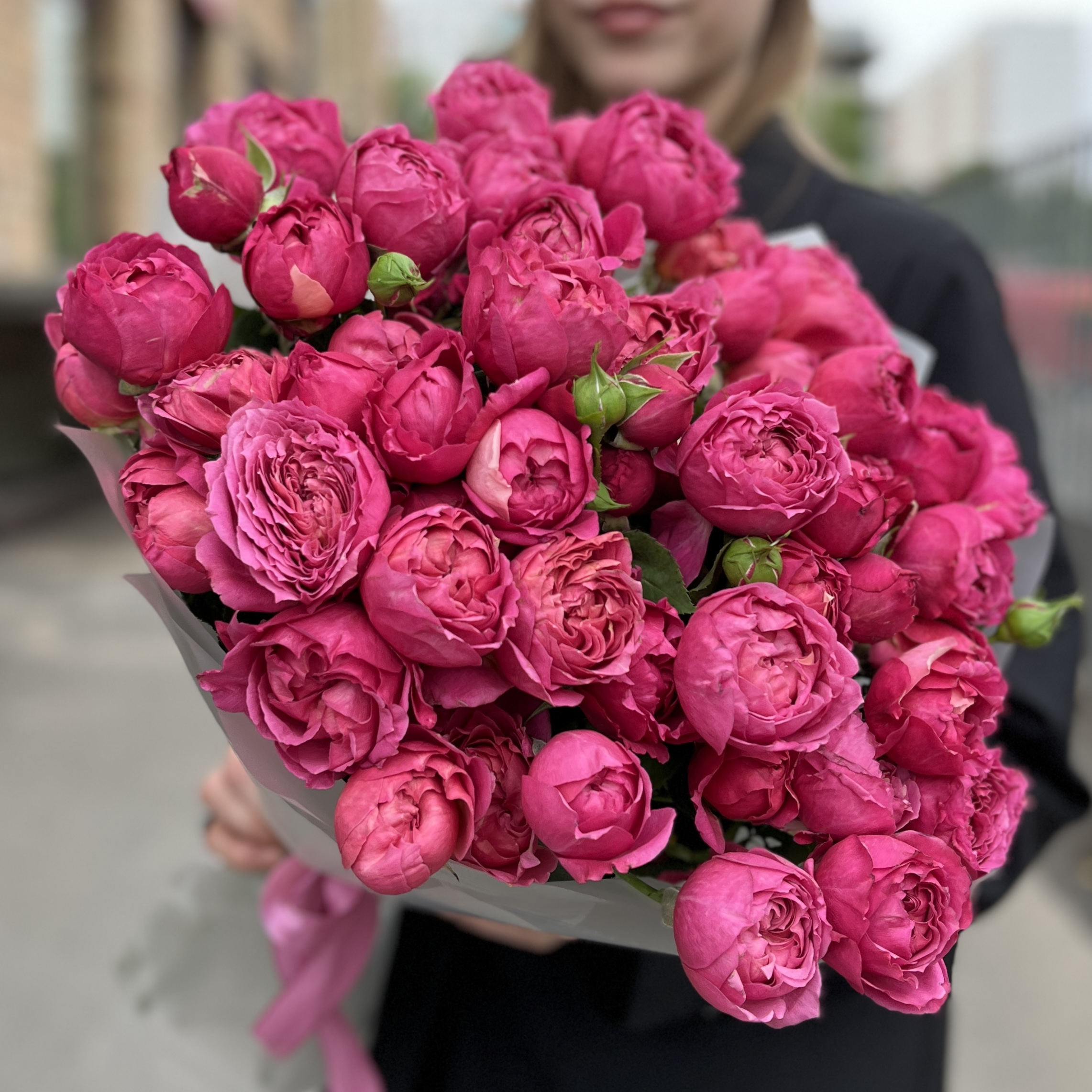 15 кустовых пионовидных роз Вишневая Джульетта