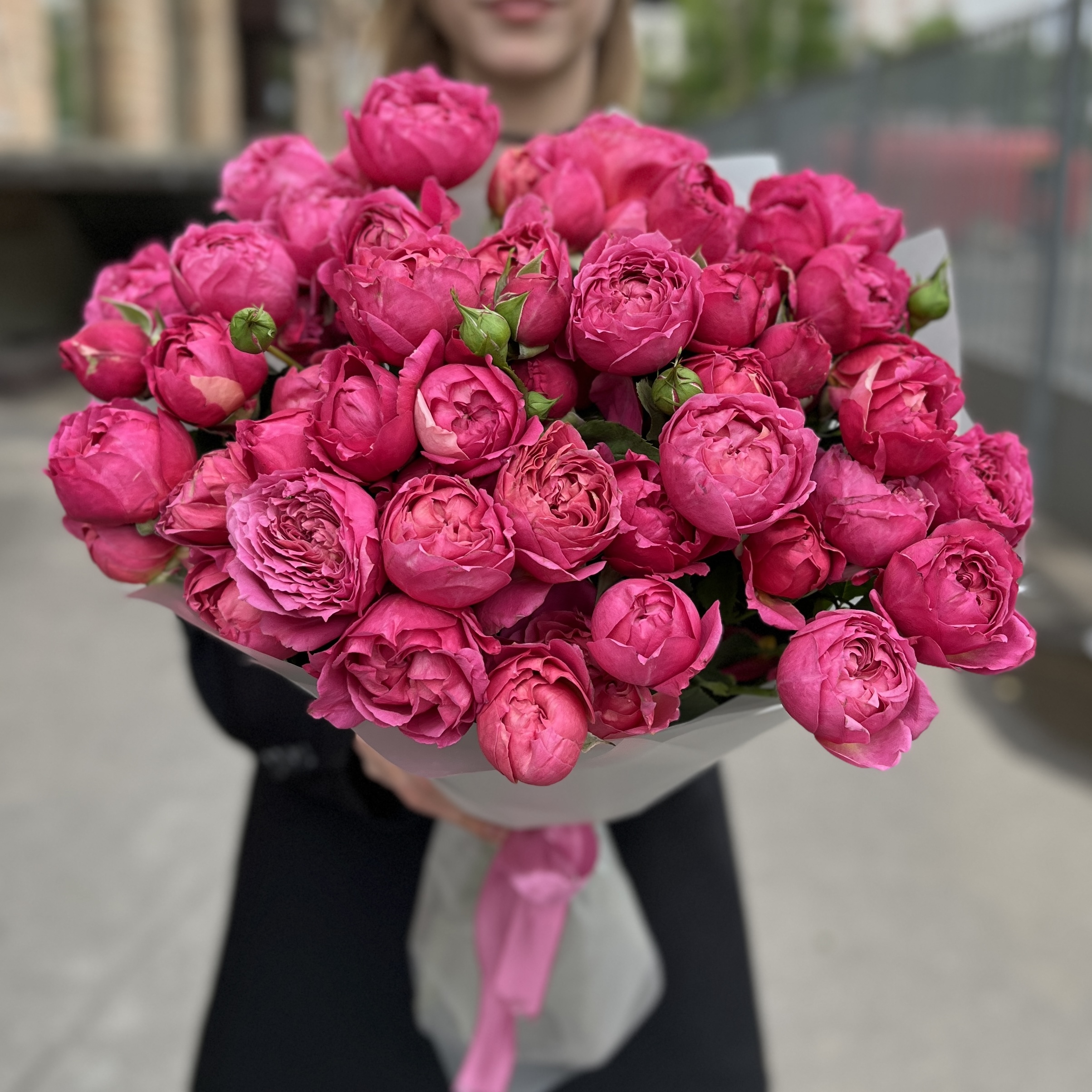 15 кустовых пионовидных роз Вишневая Джульетта