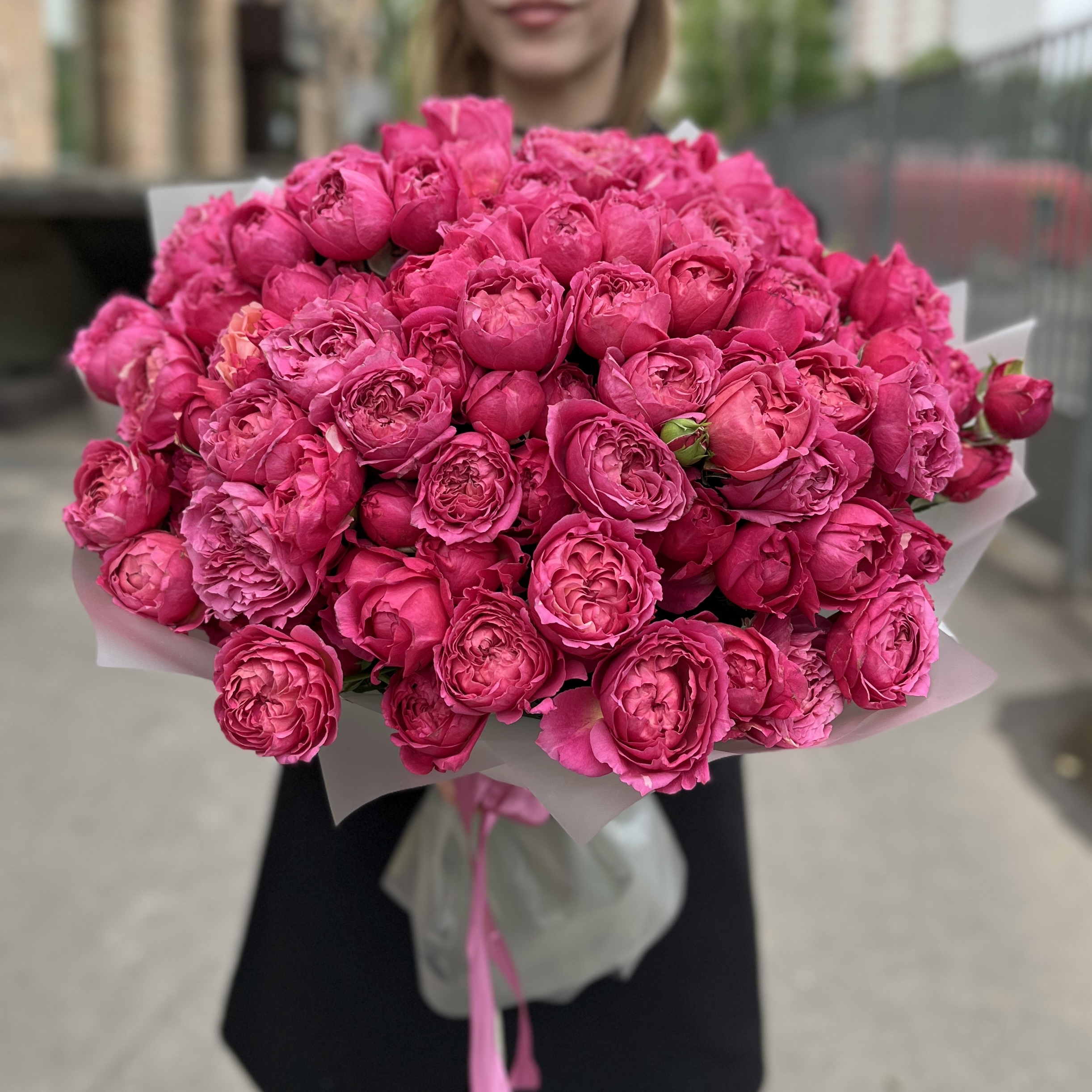 35 кустовых пионовидных роз Вишневая Джульетта