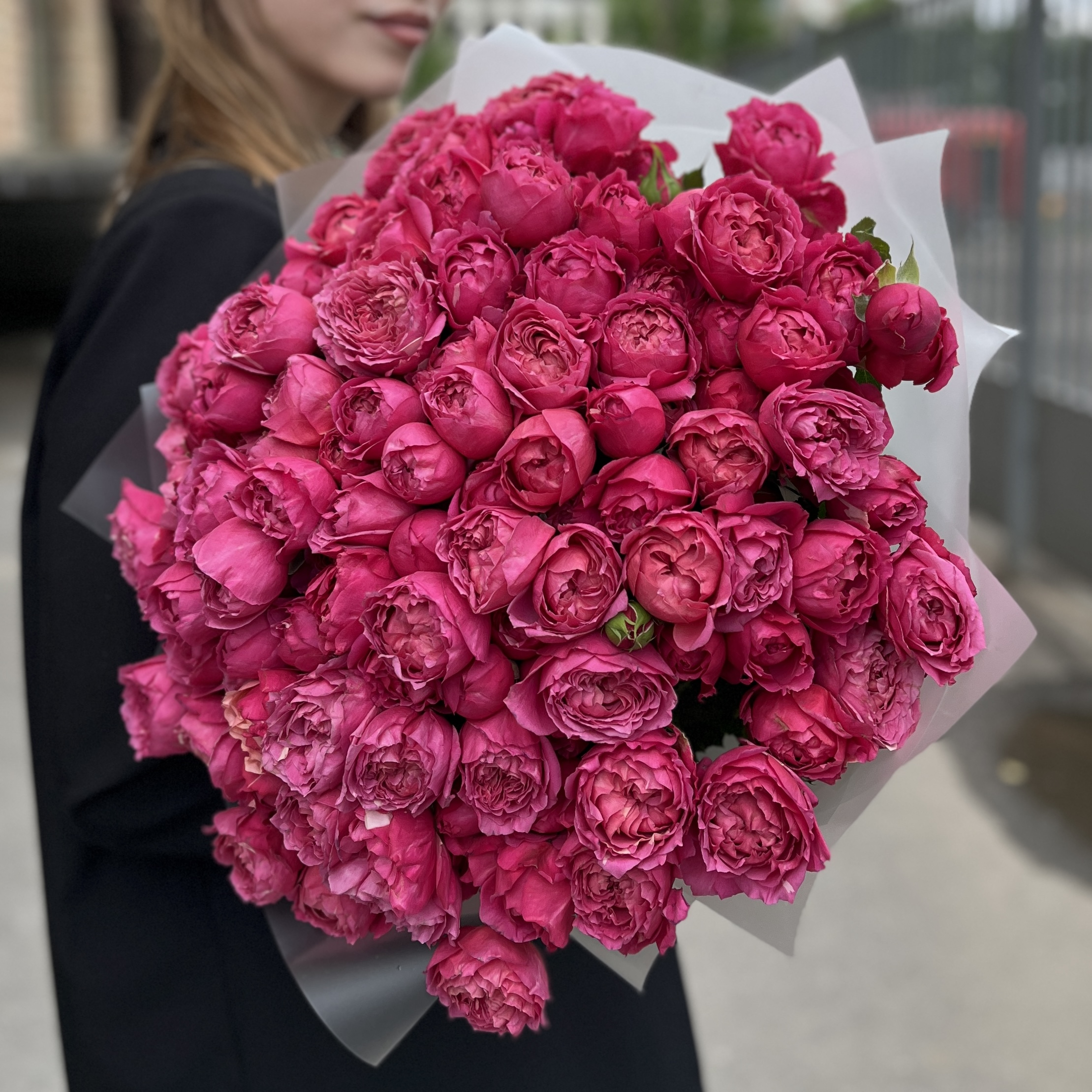 35 кустовых пионовидных роз Вишневая Джульетта