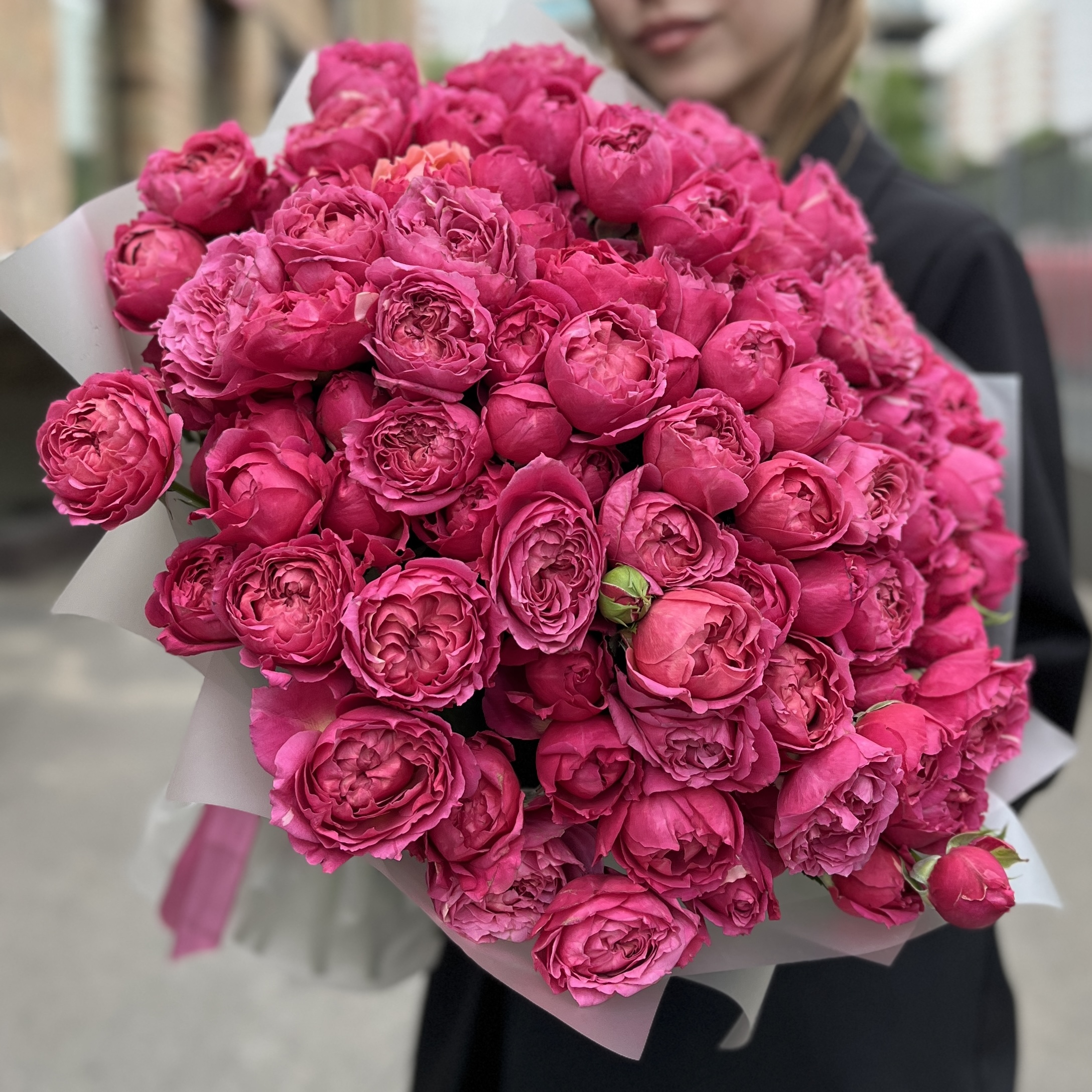 35 кустовых пионовидных роз Вишневая Джульетта
