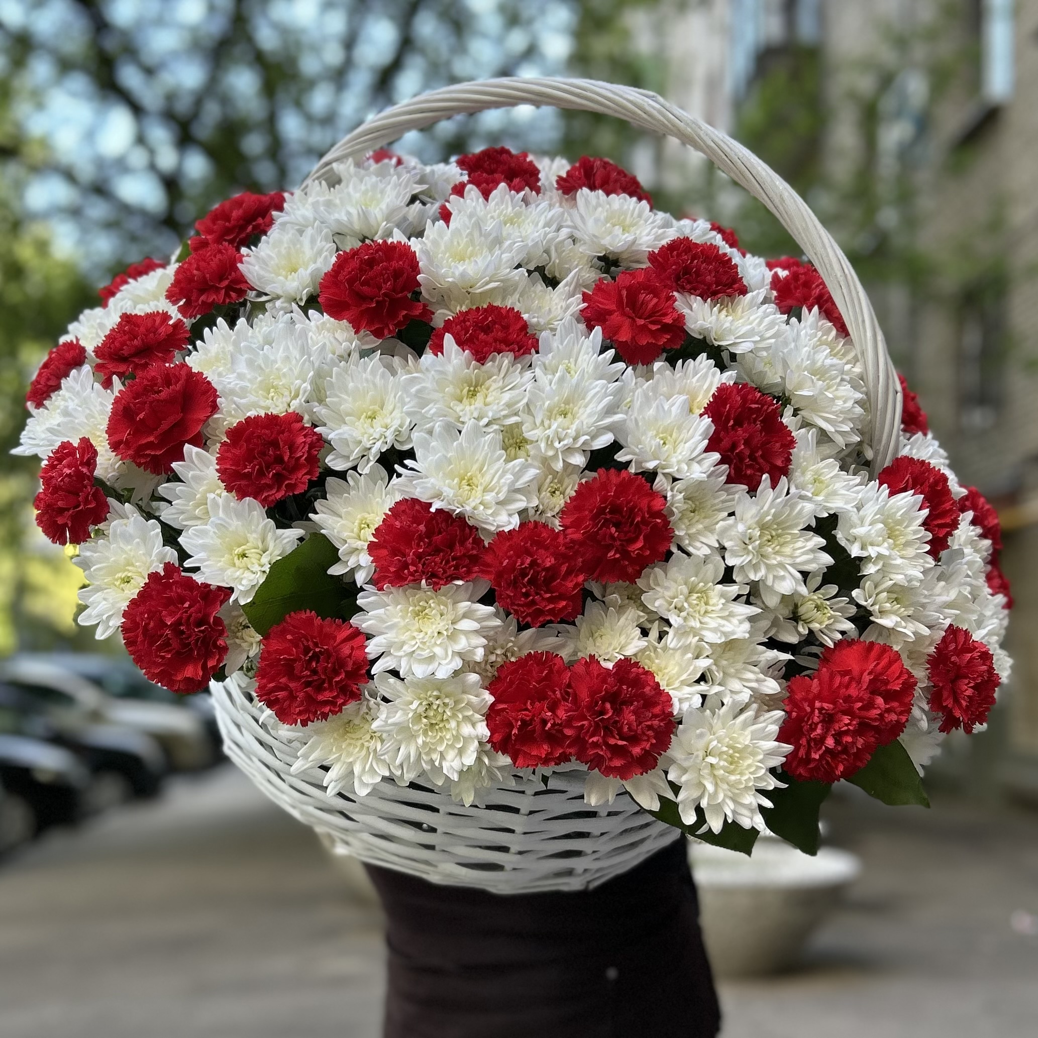 Корзина хризантем с красными гвоздиками