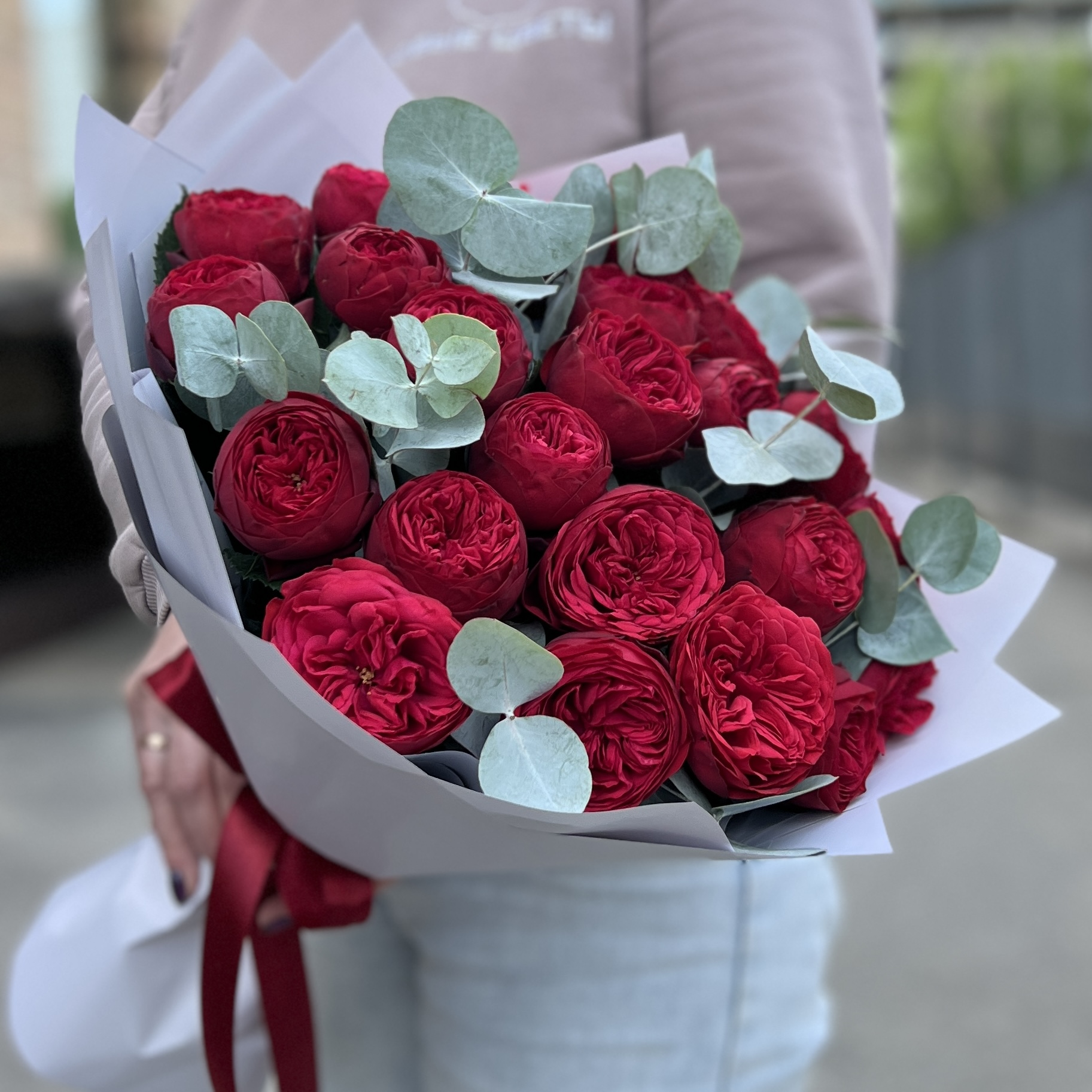 25 красных пионовидных роз Ред Пиано с эвкалиптом