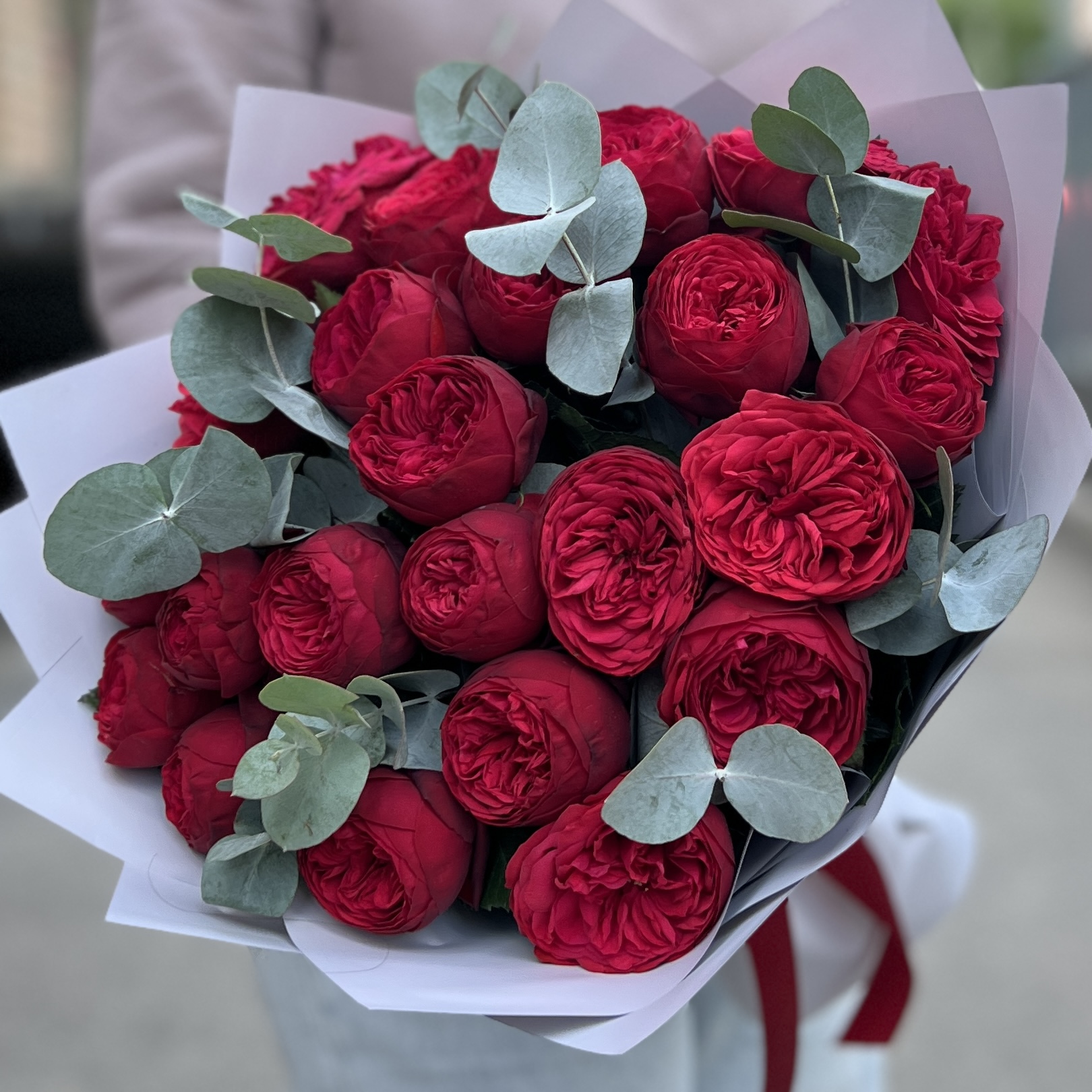 25 красных пионовидных роз Ред Пиано с эвкалиптом