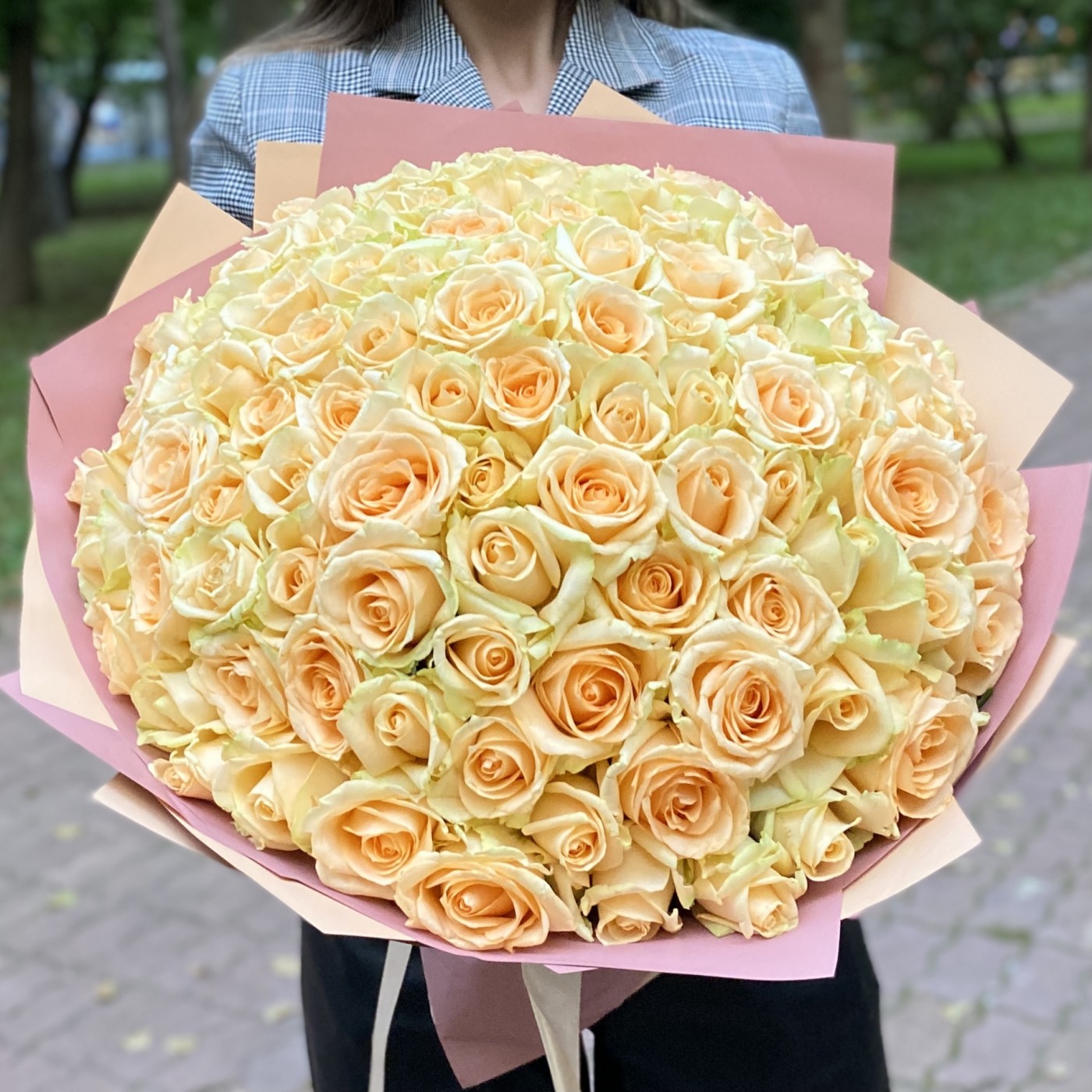 101 роза Пич аваланш 40 см