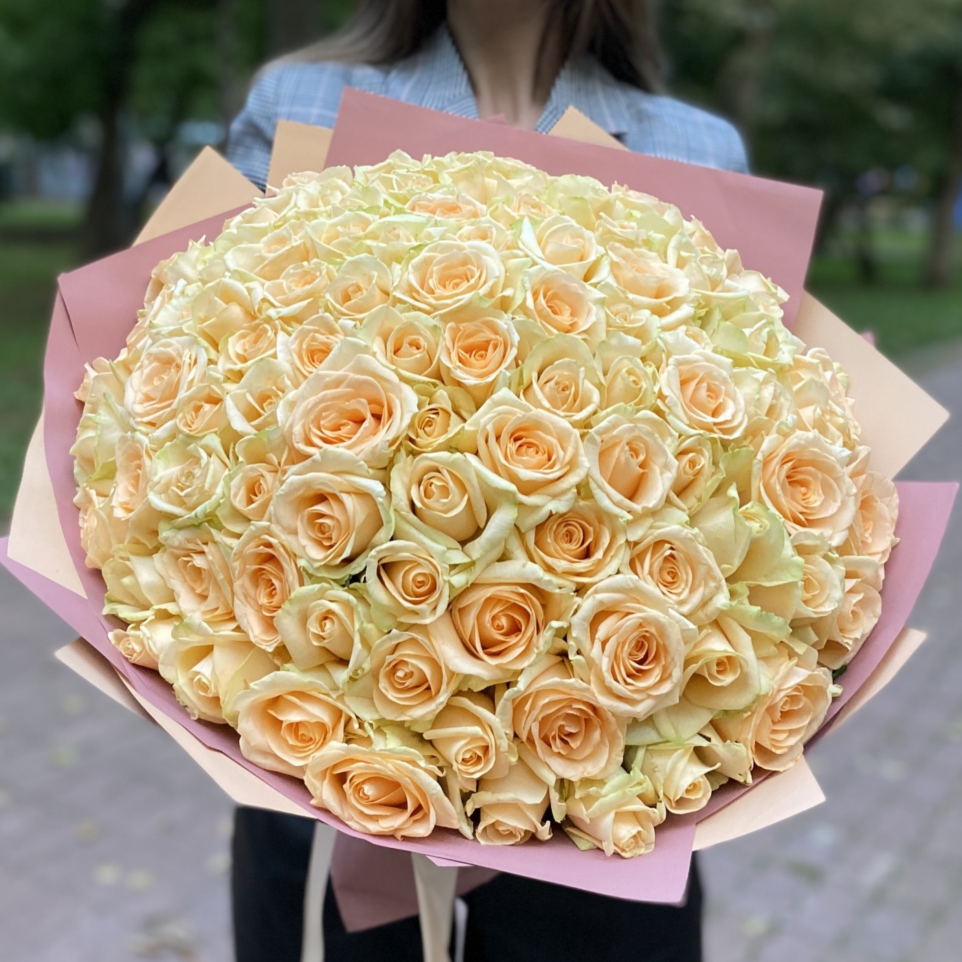 101 роза Пич аваланш 40 см