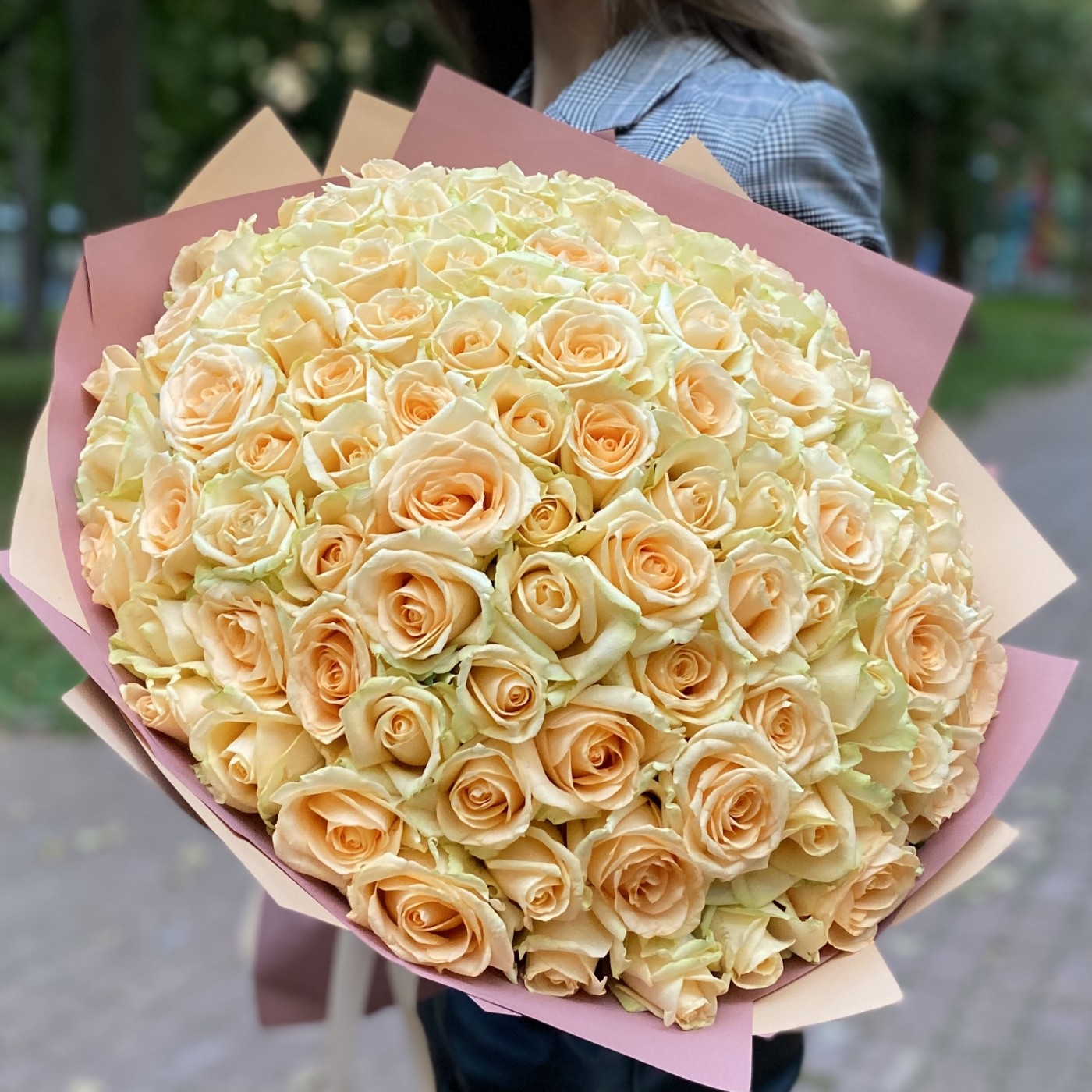 101 роза Пич аваланш 40 см