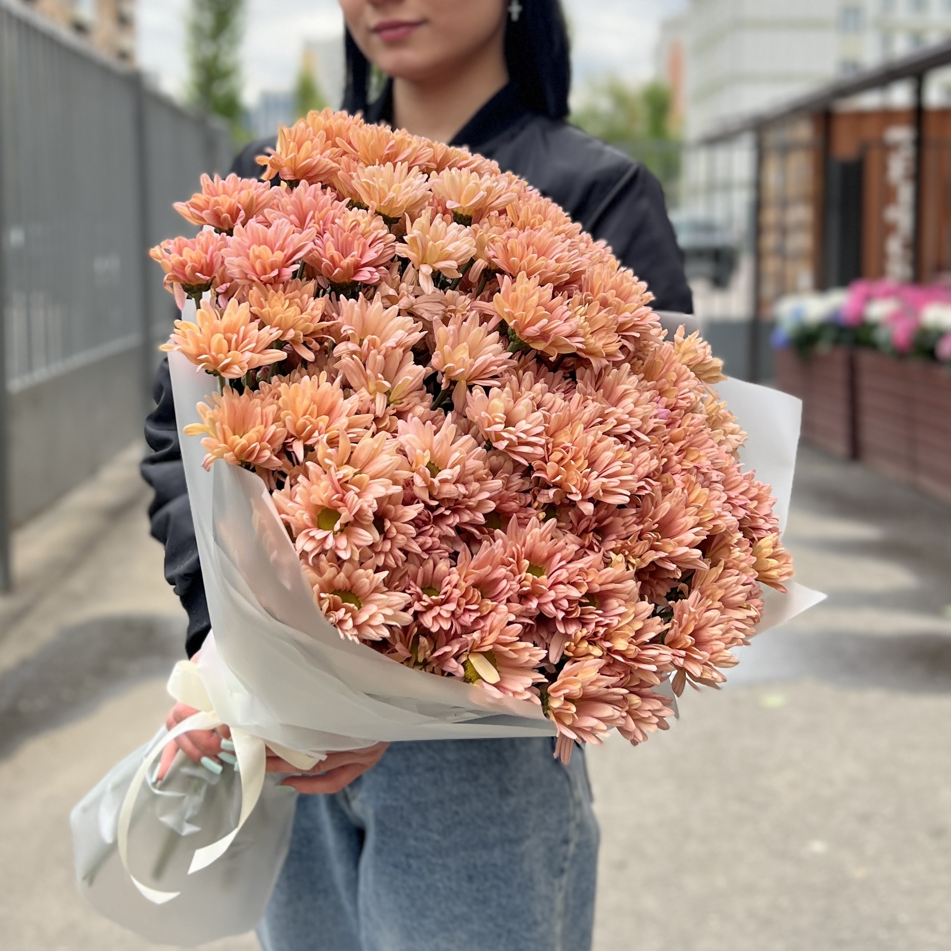 25 кустовых кремовых хризантем Салмон