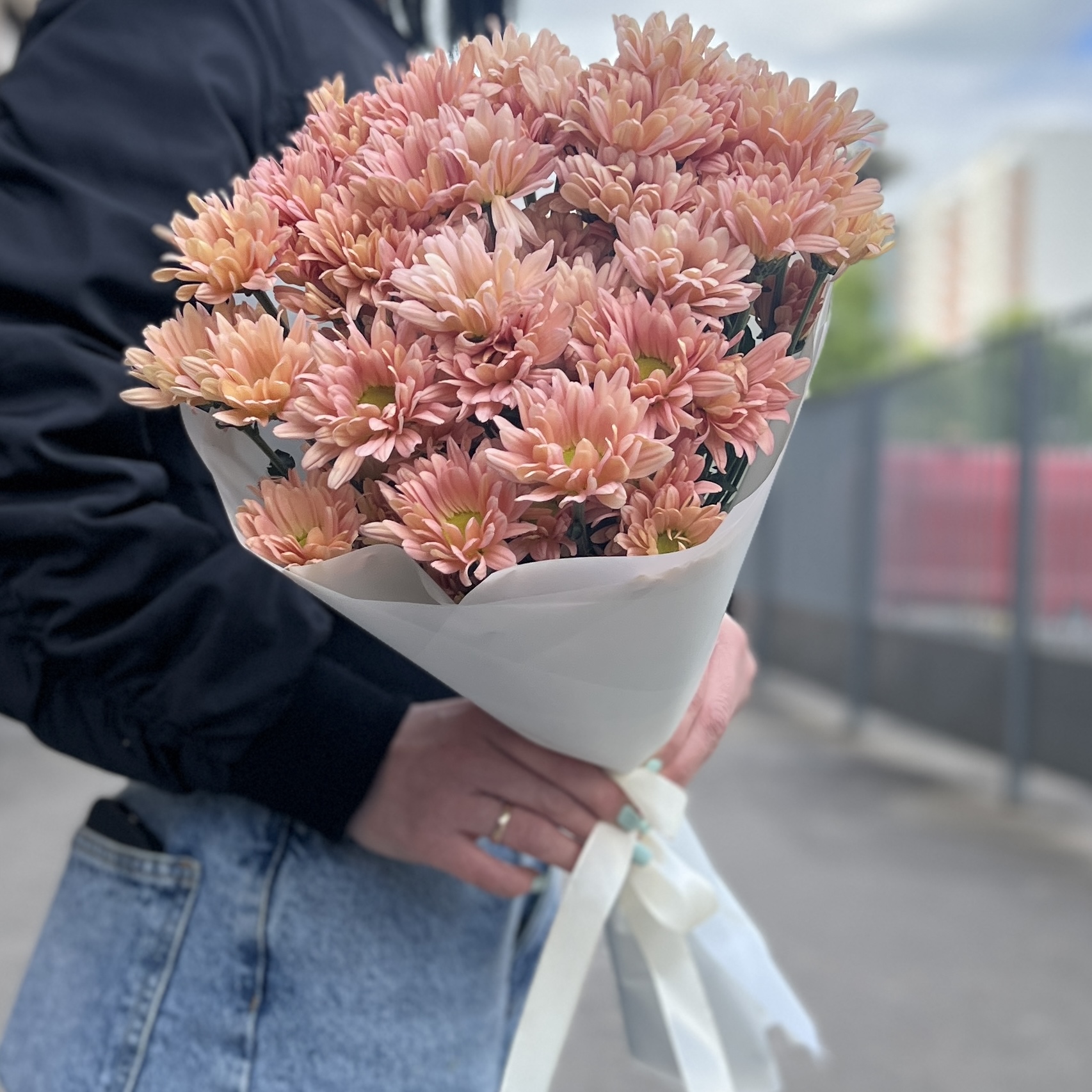 5 персиковых кустовых хризантем Салмон