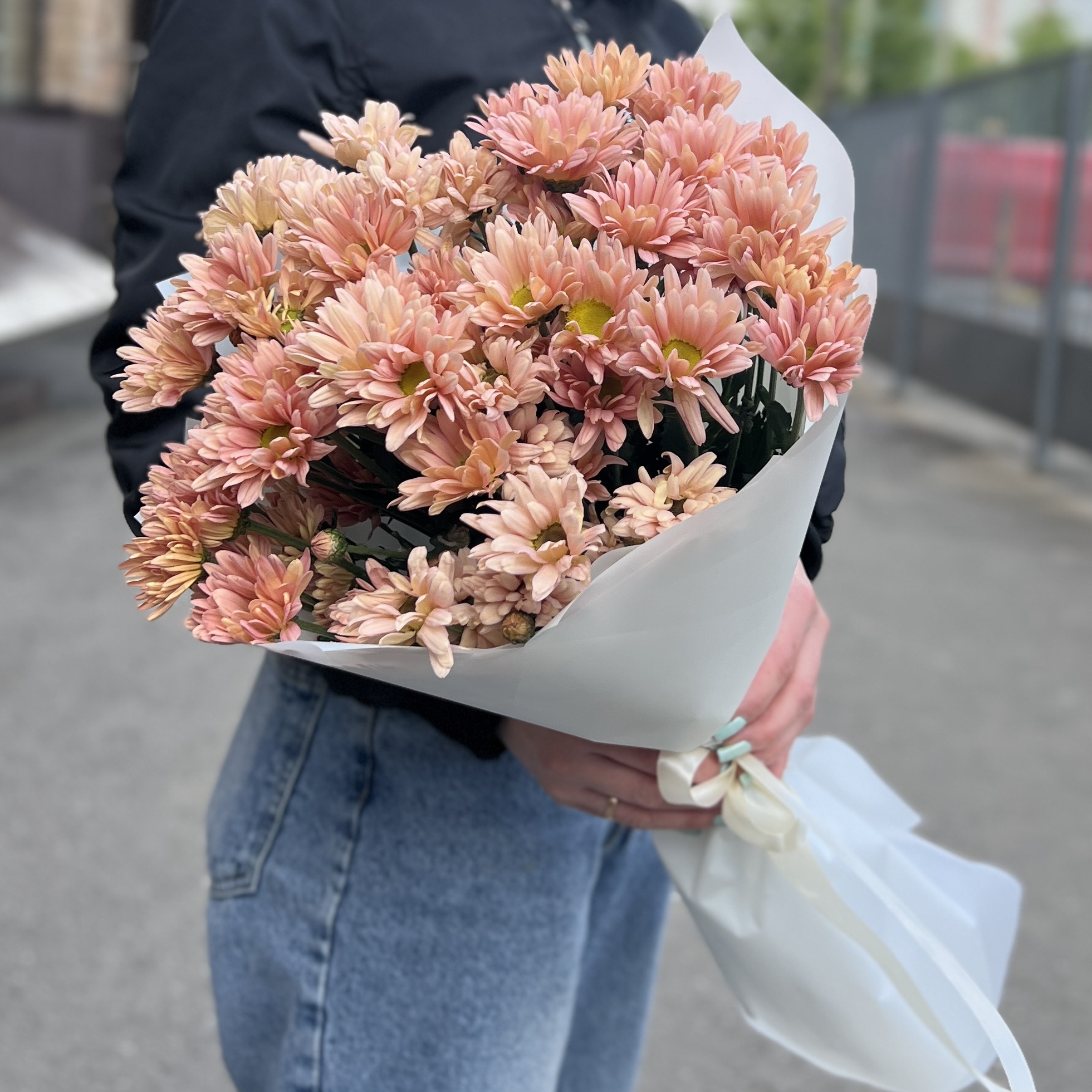 7 персиковых кустовых хризантем Салмон