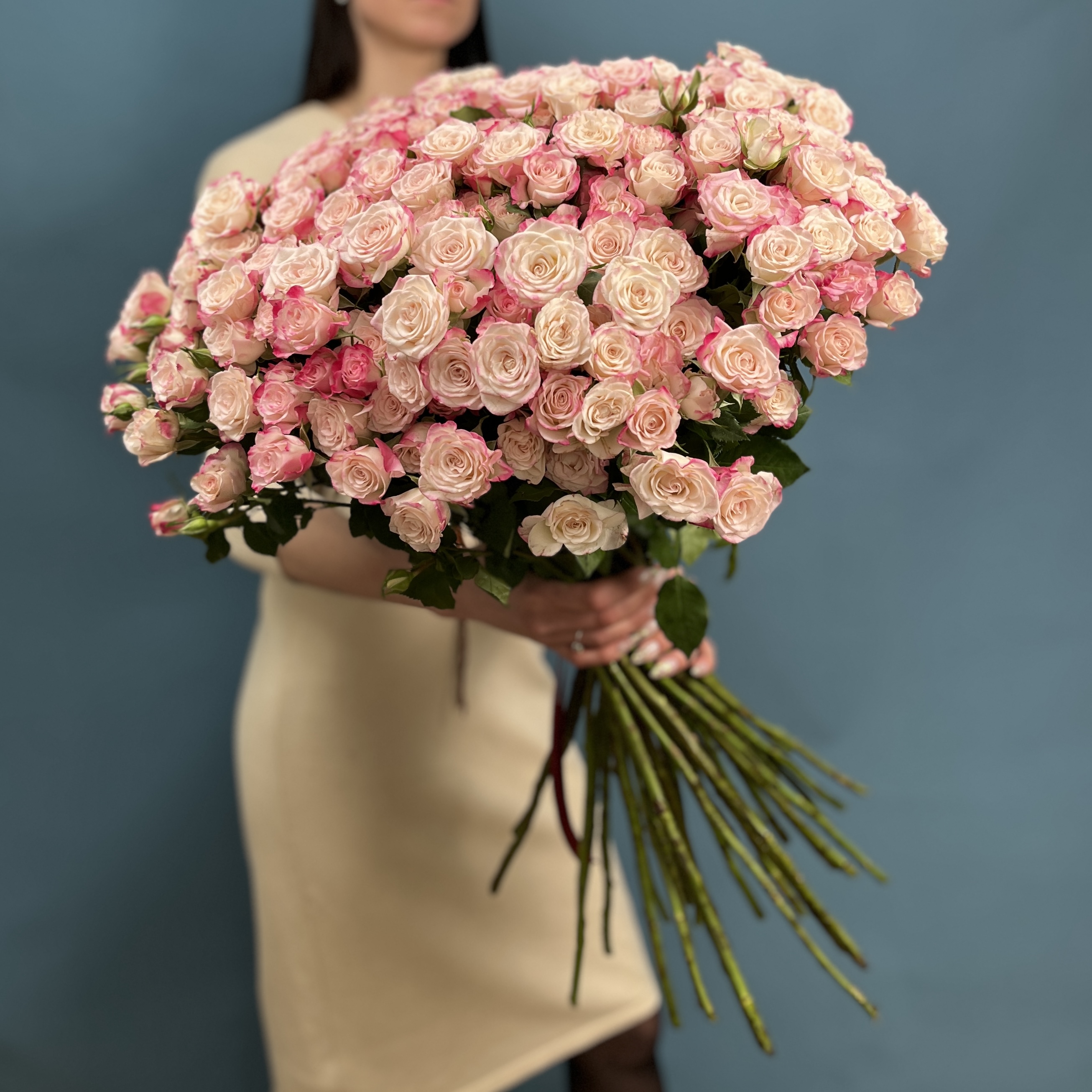 51 кустовая роза Рефлекс 70 см