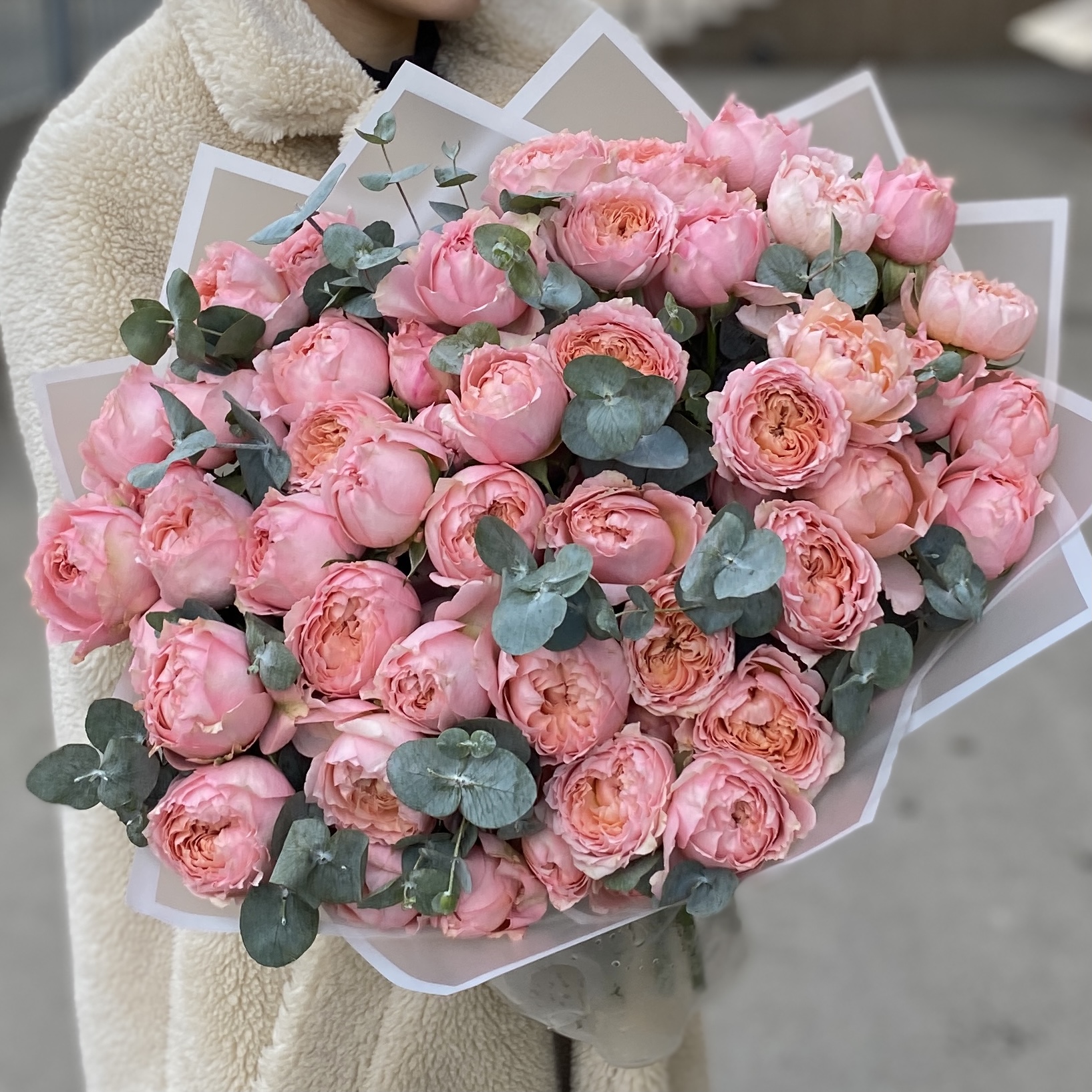 15 кустовых пионовидных роз Джульетта с эвкалиптом